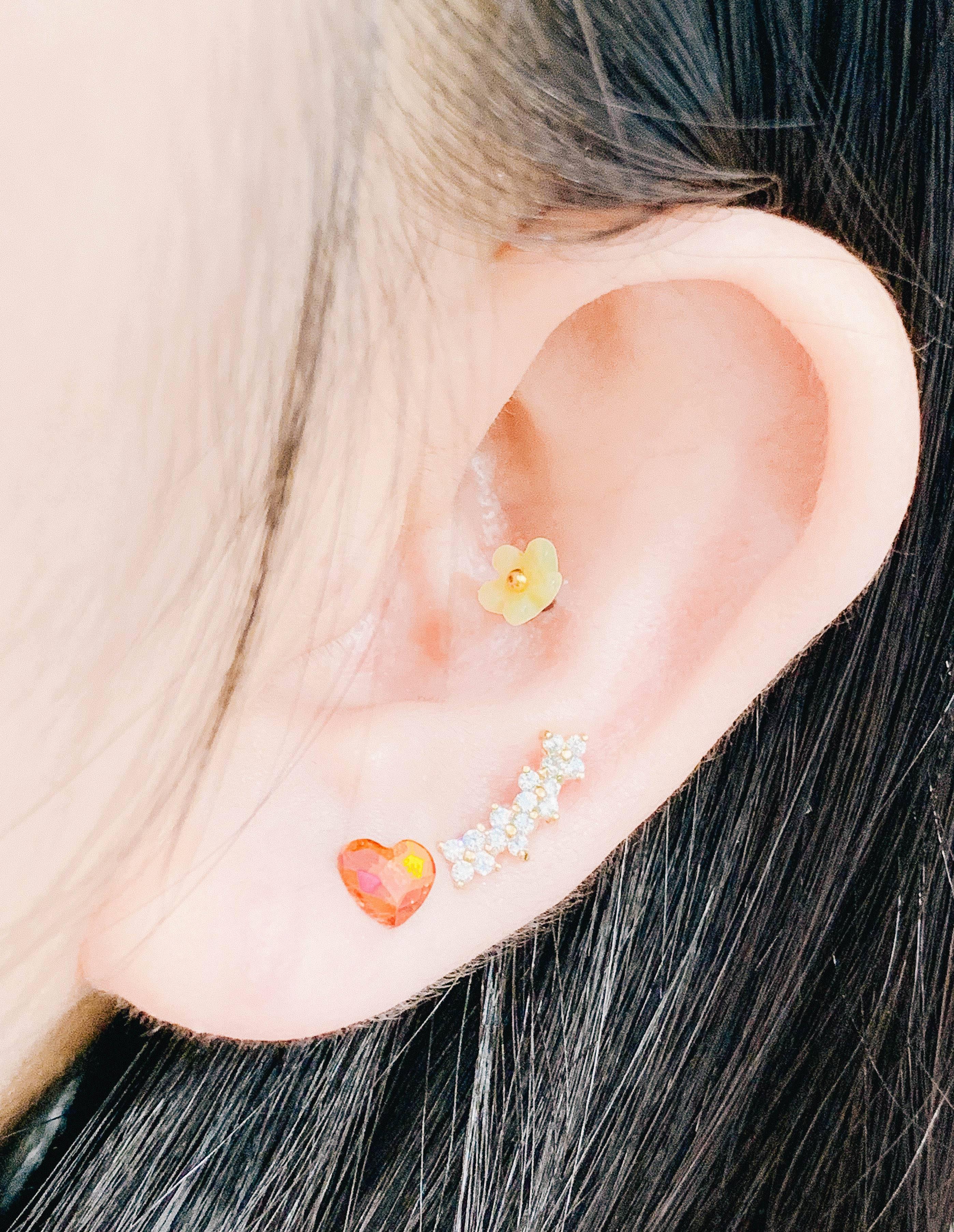 Small Happy (ピアス/ピアッシング) Piercing anything else 