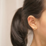 Sparkling Aurora ピアス [12個セット] Earrings SET ME UP♡ 