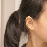 Spring Wing ピアス [24個セット] Earrings SET ME UP♡ 